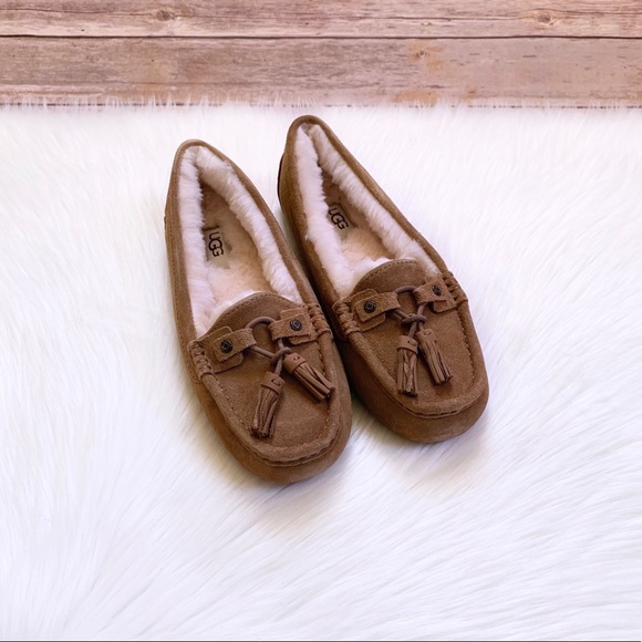 UGG Litney Chestnut Slipper For Outdoor/Indoor Use - Picture 4 of 8